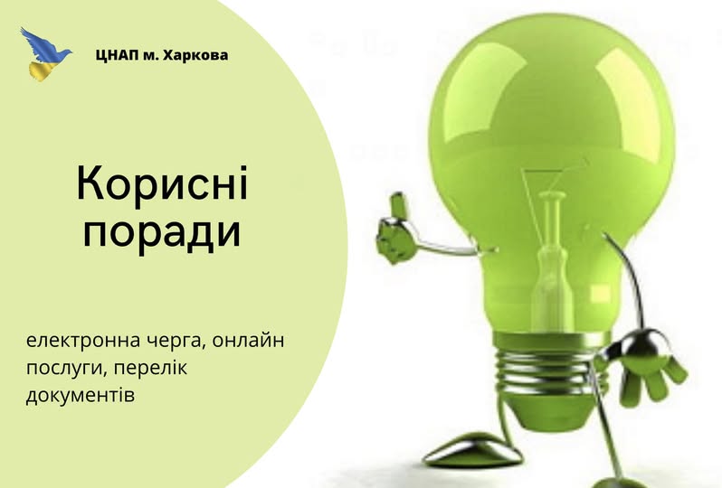 dozvil news image