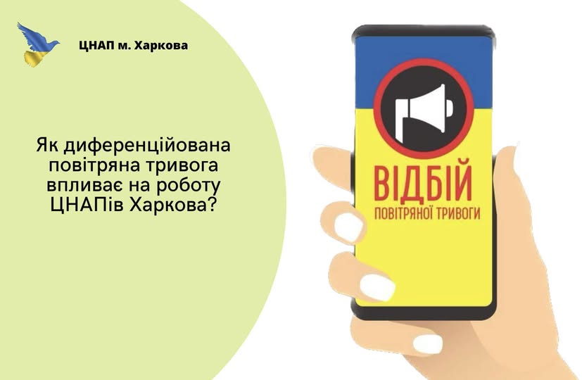 dozvil news image